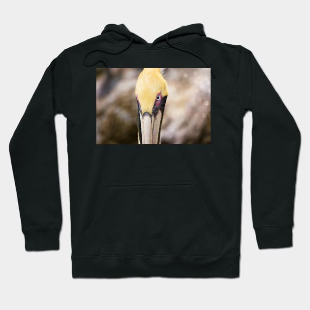 Pelican Portrait Hoodie by JeffreySchwartz